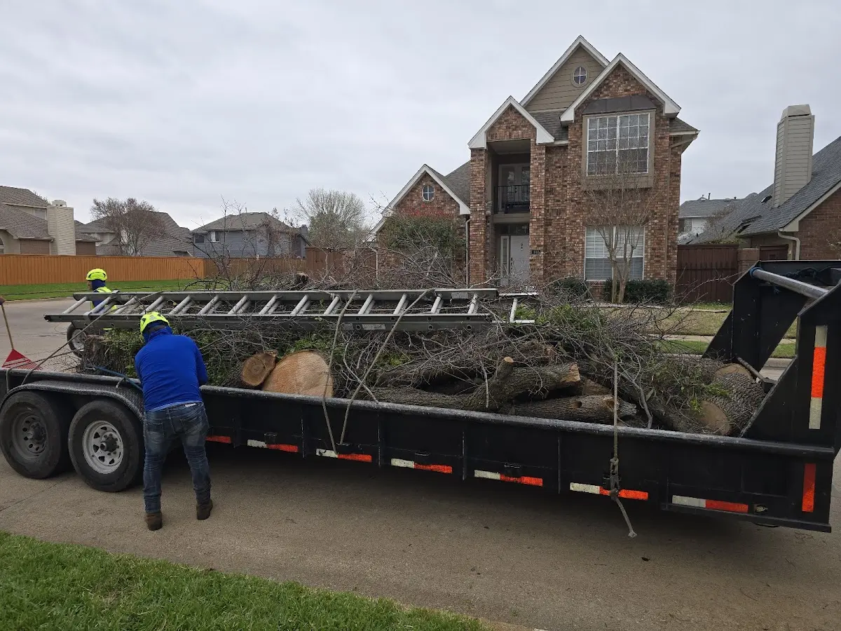 Expert Tree Fertilization with proper safety equipment in Slaton